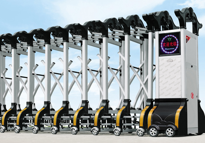 ����ֵ綯������